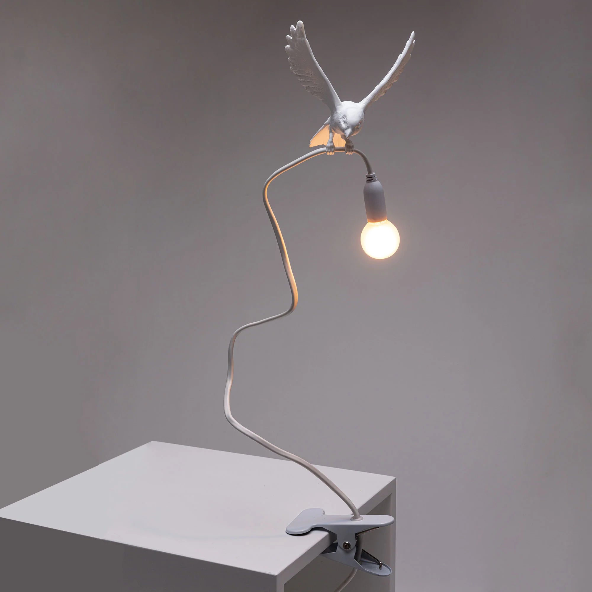Sparrow Lamp with Clamp - Landing