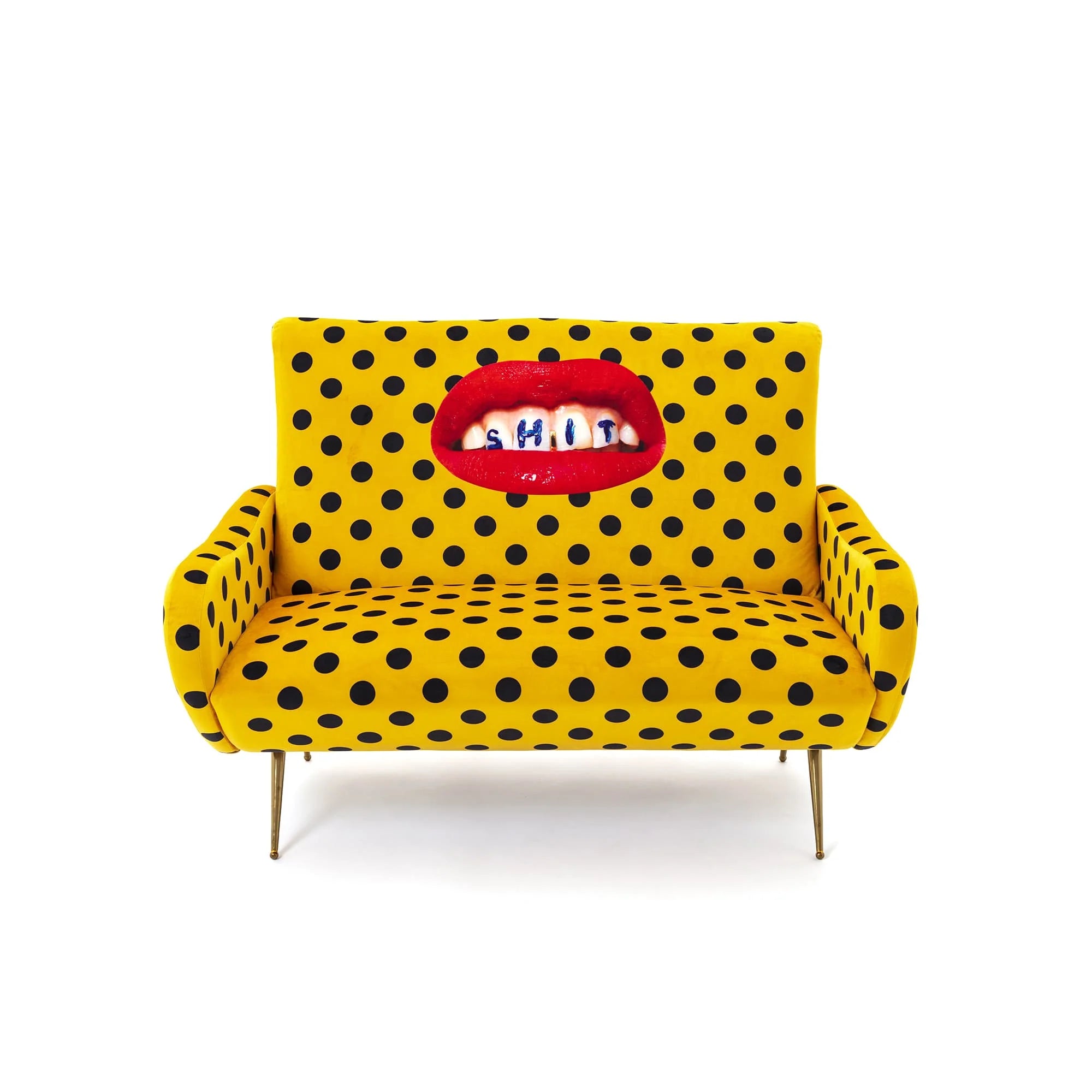 Sofa Two Seater Shit